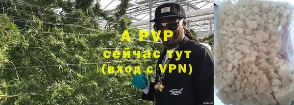 хмурый Тында