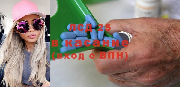 спиды Богданович