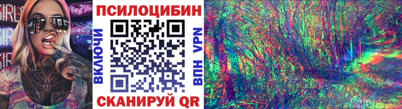купить наркотик  Кирсанов  Псилоцибиновые грибы Psilocybe 